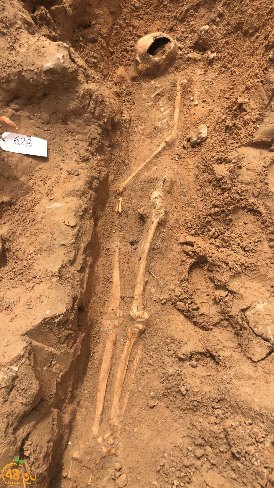 WhatsApp Image 2020-06-17 at 9.30.52 AM (2).jpeg.jpg.jpg